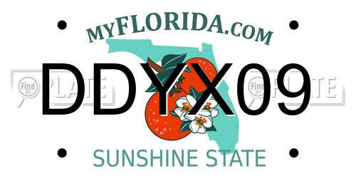 DDYX09 Florida License Plate