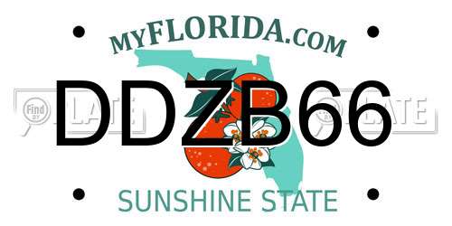 DDZB66 Florida License Plate