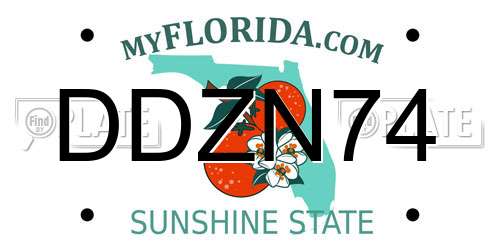 DDZN74 Florida License Plate