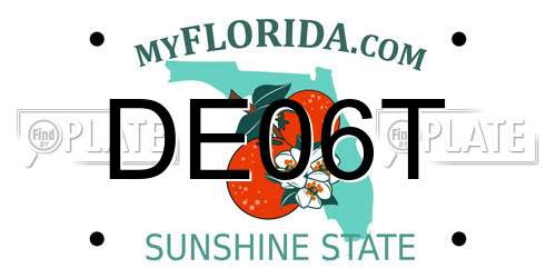 DE06T Florida License Plate