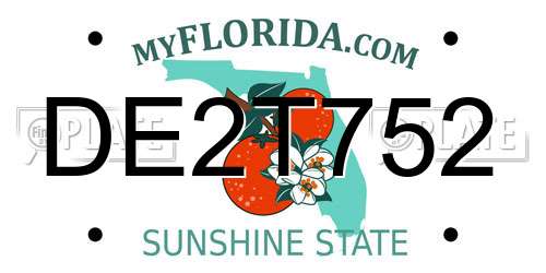 DE2T752 Florida License Plate