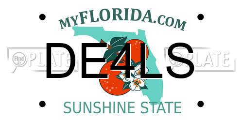 DE4LS Florida License Plate