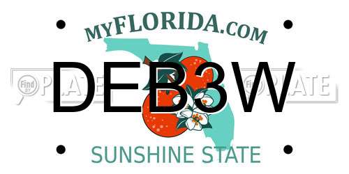 DEB3W Florida License Plate