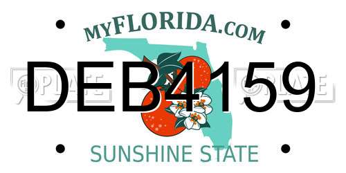 DEB4159 Florida License Plate