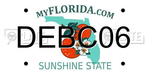 DEBC06 Florida License Plate