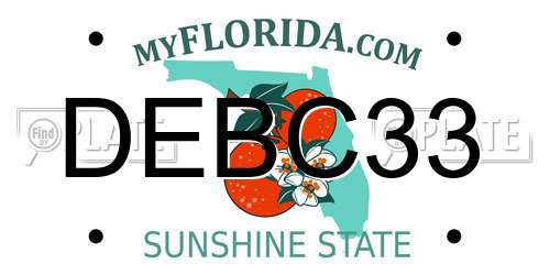 DEBC33 Florida License Plate