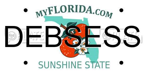 DEBSESS Florida License Plate
