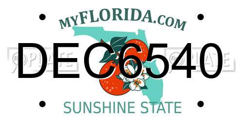 DEC6540 Florida License Plate