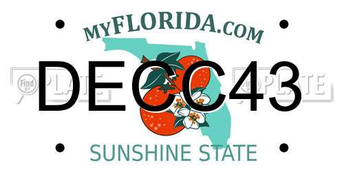 DECC43 Florida License Plate
