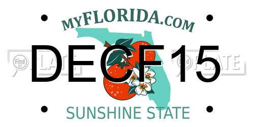 DECF15 Florida License Plate