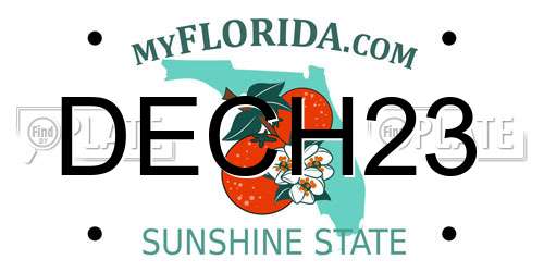 DECH23 Florida License Plate