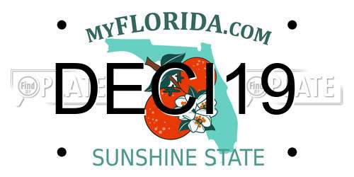 DECI19 Florida License Plate