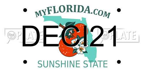 DECI21 Florida License Plate