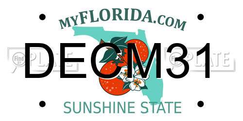 DECM31 Florida License Plate