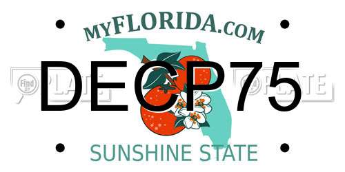 DECP75 Florida License Plate