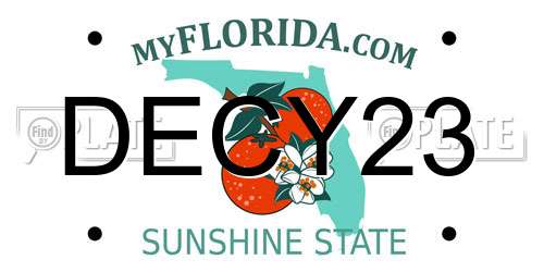 DECY23 Florida License Plate