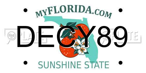 DECY89 Florida License Plate