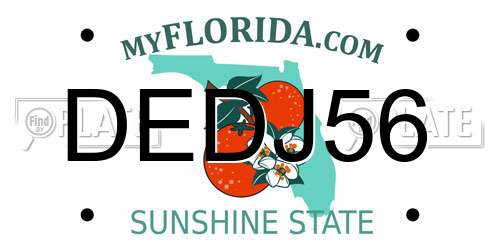 DEDJ56 Florida License Plate
