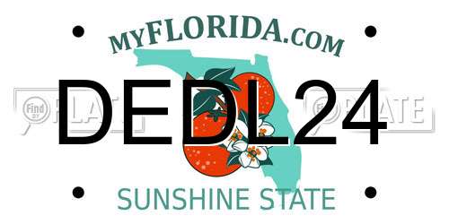 DEDL24 Florida License Plate