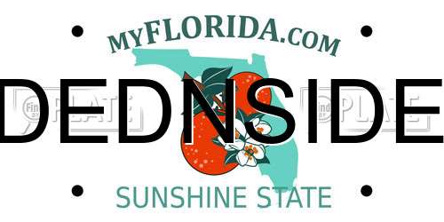 DEDNSIDE Florida License Plate