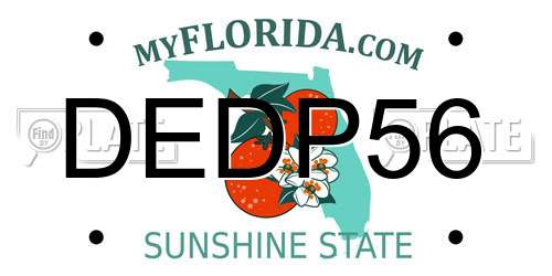 DEDP56 Florida License Plate
