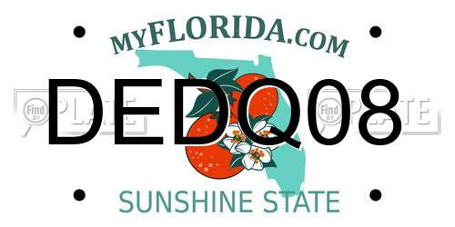 DEDQ08 Florida License Plate