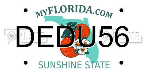 DEDU56 Florida License Plate