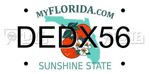 DEDX56 Florida License Plate