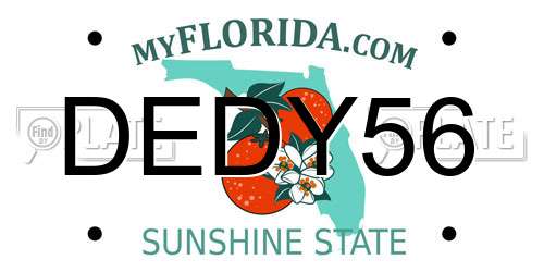 DEDY56 Florida License Plate