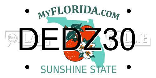 DEDZ30 Florida License Plate