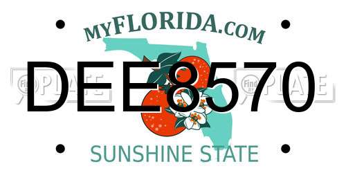 DEE8570 Florida License Plate