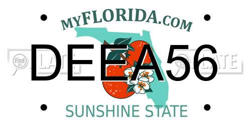 DEEA56 Florida License Plate