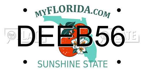 DEEB56 Florida License Plate