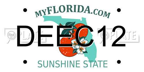 DEEC12 Florida License Plate