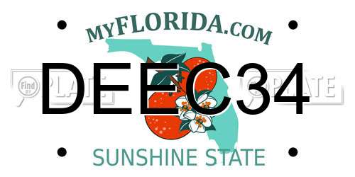 DEEC34 Florida License Plate