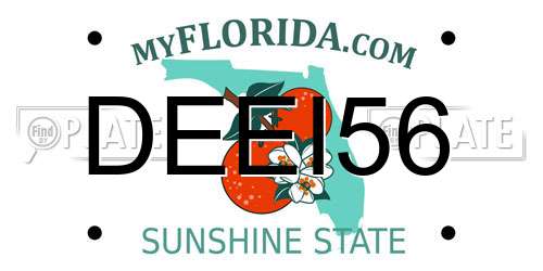 DEEI56 Florida License Plate