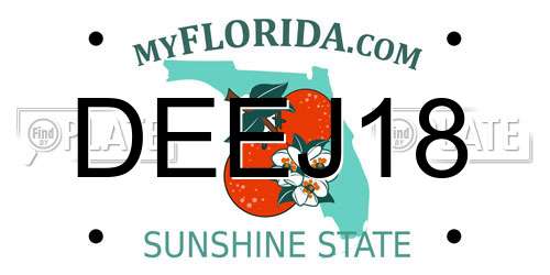 DEEJ18 Florida License Plate
