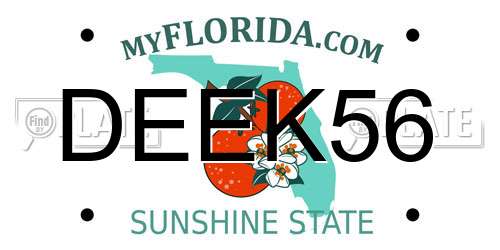 DEEK56 Florida License Plate