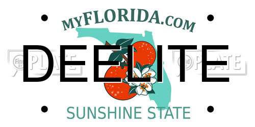DEELITE Florida License Plate