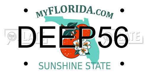 DEEP56 Florida License Plate