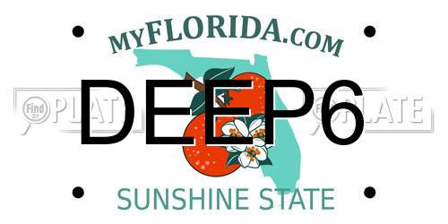 DEEP6 Florida License Plate