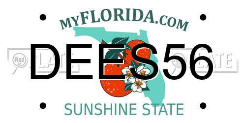 DEES56 Florida License Plate