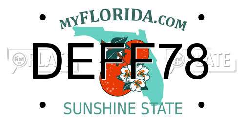 DEFF78 Florida License Plate