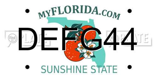 DEFG44 Florida License Plate