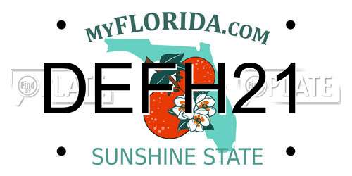 DEFH21 Florida License Plate