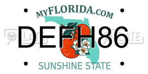 DEFH86 Florida License Plate