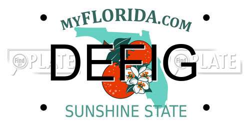 DEFIG Florida License Plate