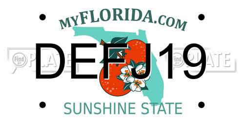 DEFJ19 Florida License Plate