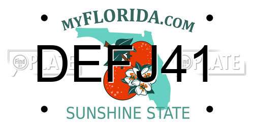 DEFJ41 Florida License Plate