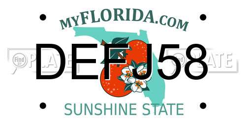 DEFJ58 Florida License Plate